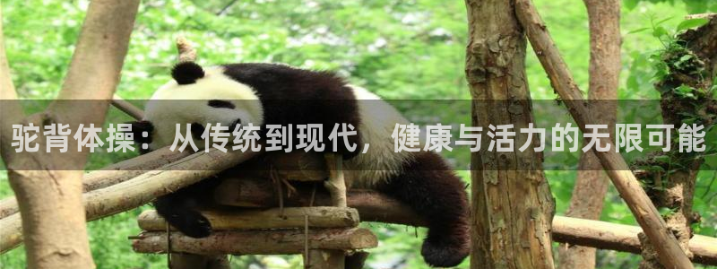 3377体育官网下载招商电话号码查询是多少：驼背体操