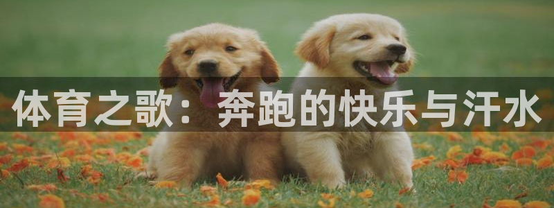 3377体育官网下载平台假的吗是真的吗：体育之歌：奔
