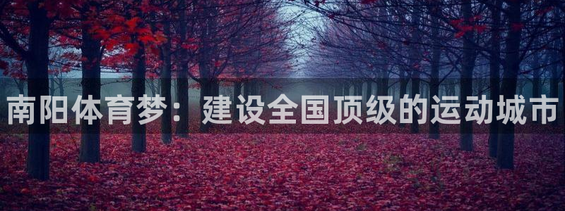 3377体育官网下载软件：南阳体育梦：建设全国顶级的