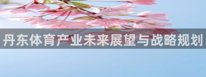 3377体育官网下载平台注册要钱吗：丹东体育产业未来