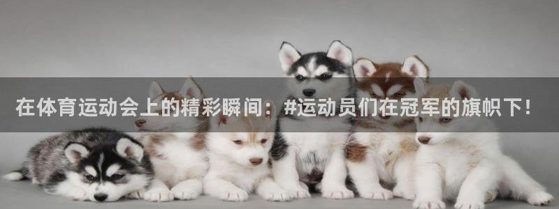 3377体育官方集团官网：在体育运动会上的精彩瞬间：