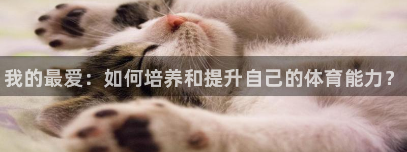 3377体育官方正版app集团官网网址：我的最爱：如