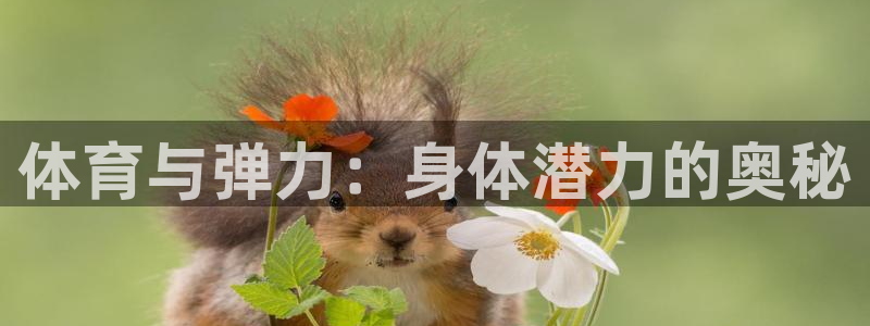 3377体育官网下载平台注册流程视频：体育与弹力：身体潜力的