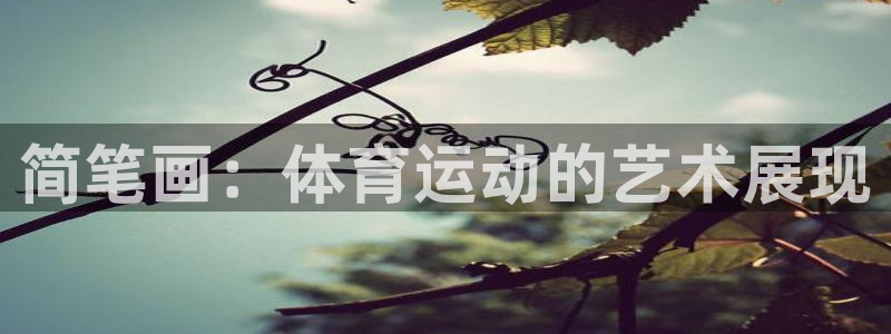 3377体育官方平台体育：简笔画：体育运动的艺术展现