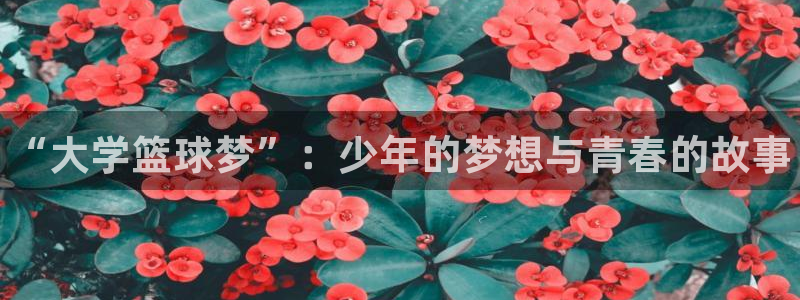 3377体育官方正版app集团logo：“大学篮球梦”：少年