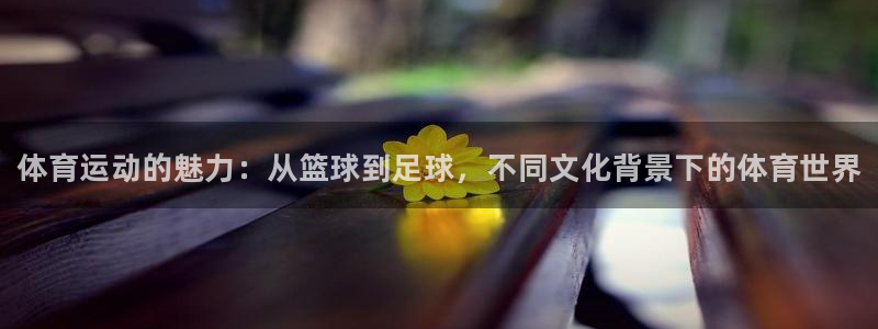 3377体育官方正版app开户：体育运动的魅力：从篮