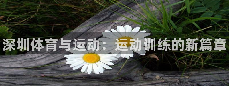 德国3377体育官方正版app集团：深圳体育与运动：