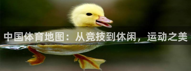 3377体育官网下载招商电话是多少啊：中国体育地图：