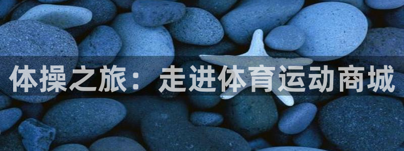 3377体育官网下载平台注册流程视频：体操之旅：走进体育运动