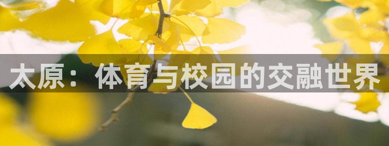 3377体育官方正版app集团官网首页网址