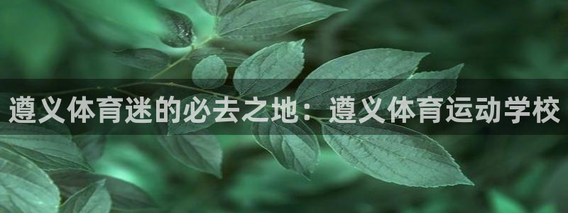 3377体育官网下载招商电话号码是多少
