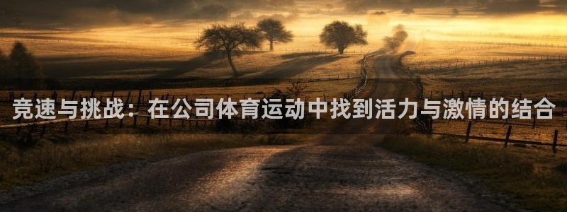 3377体育官网下载平台注册要钱吗：竞速与挑战：在公