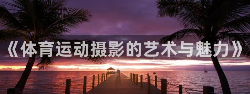 3377体育官网下载平台APP