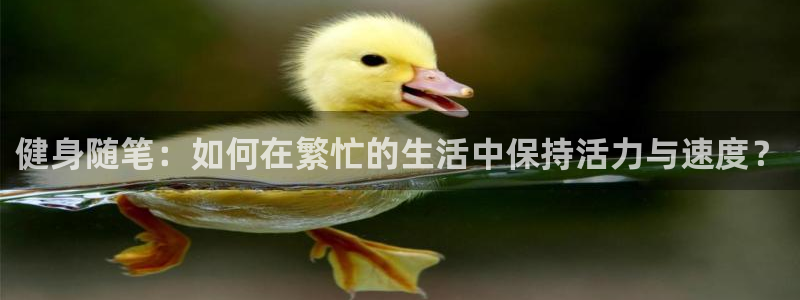 3377体育官方正版app科技