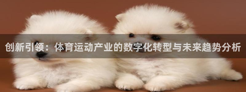 3377体育官网下载平台注册要钱吗安全吗：创新引领：体育运动