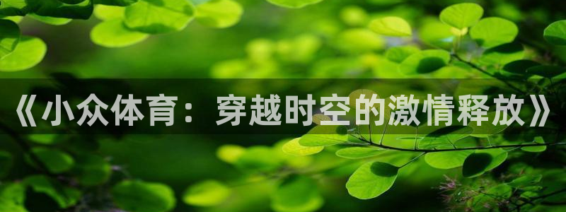 3377体育官网下载软件：《小众体育：穿越时空的激情