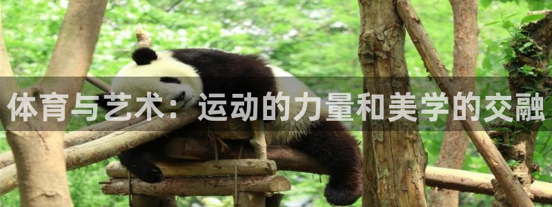 3377体育官网下载招商电话地址是多少：体育与艺术：运动的力