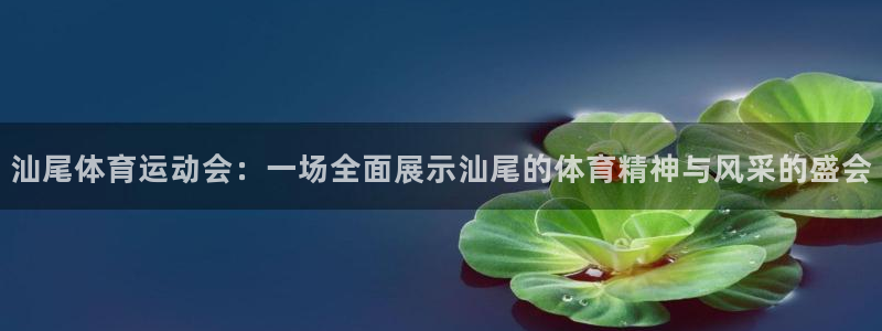 3377体育官网下载平台是正规平台吗：汕尾体育运动会
