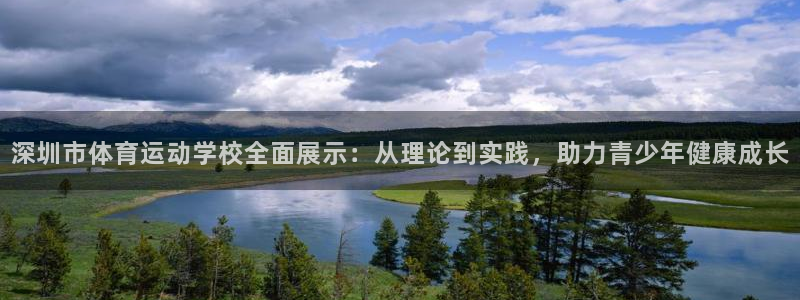 3377体育官方正版app娱乐是那个系列的台子：深圳市体育运