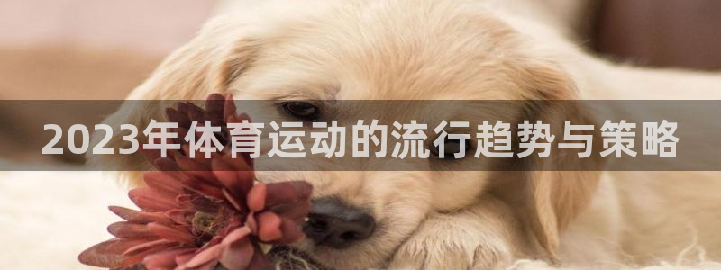 3377体育官网下载招商电话是多少啊