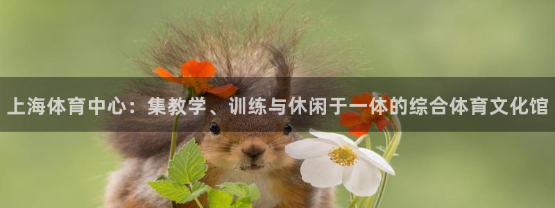 3377体育官方正版app神州：上海体育中心：集教学、训练与