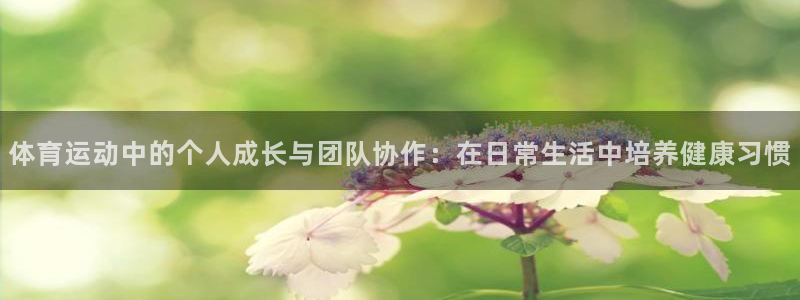 3377体育官方正版app新能源：体育运动中的个人成长与团队