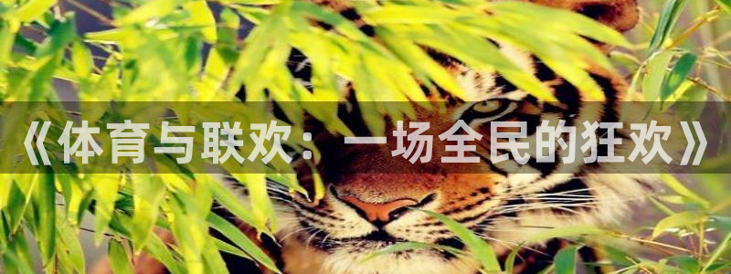 3377体育官方正版app娱乐40996：《体育与联欢：一场