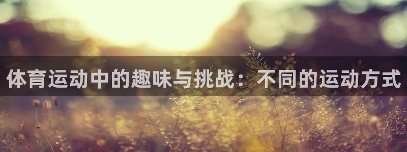 3377体育官网下载官方客服电话