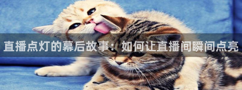 鲸鱼足球直播：直播点灯的幕后故事：如何让直播间瞬间点亮