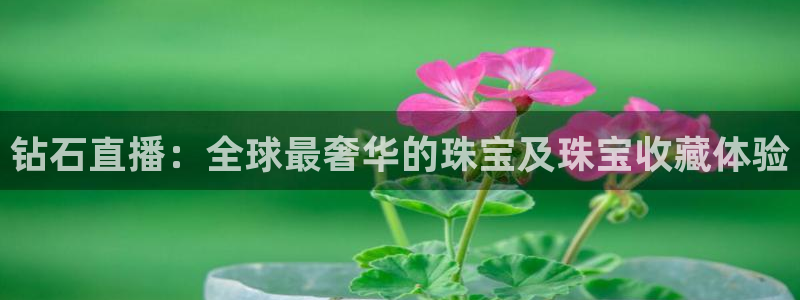 鲸鱼体育在线观看nba：钻石直播：全球最奢华的珠宝及珠宝收藏体验