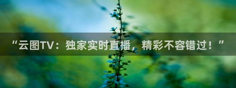 鲸鱼体育免费版：“云图TV：独家实时直播，精彩不容错过！”