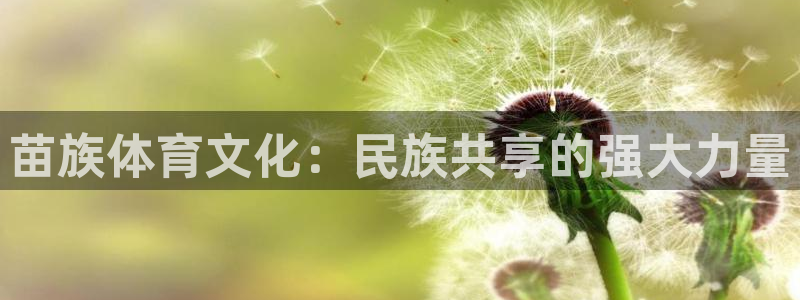 3377体育是正规平台吗