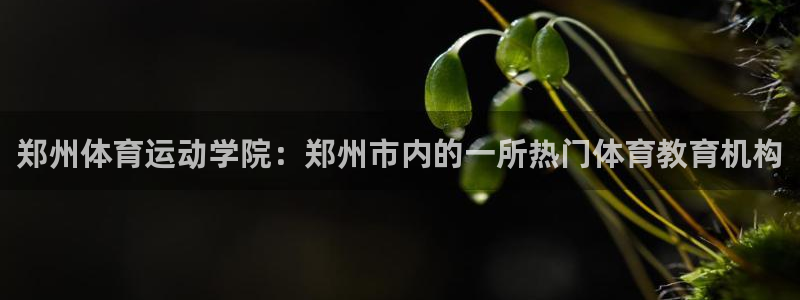 3377体育提款容易通过吗为什么