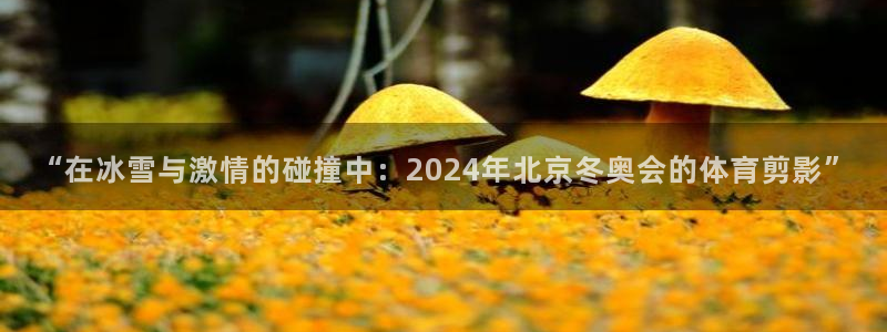 3377体育官网址