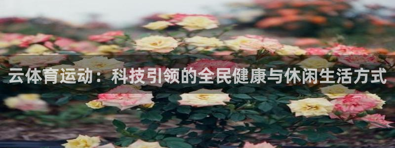 3377体育官网下载：云体育运动：科