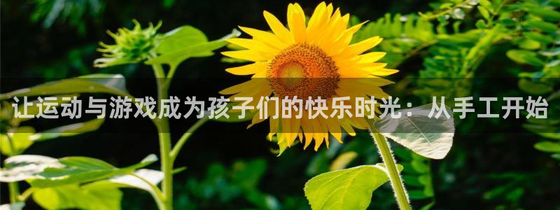 3377体育可信吗：让运动与游戏成为