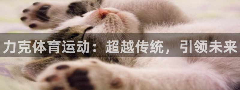  3377体育是诈骗吗：力克体育运动：超越传统，引领未来