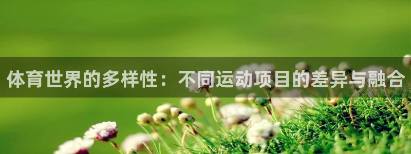 3377体育平台正规吗怎么样