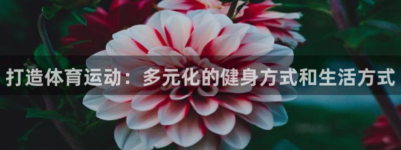 3377体育最害怕三个东西：打造体育