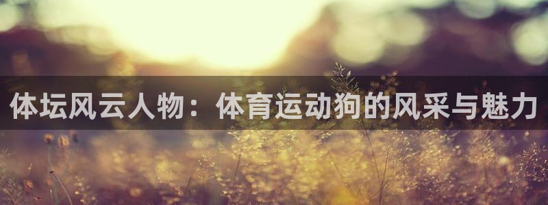 3377体育最厉害三个平台：体坛风云人物：体育运动狗的风采与