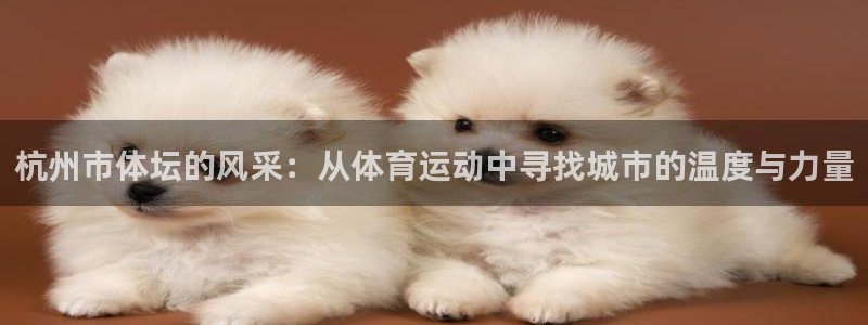 3377体育中国官方网站入口：杭州市