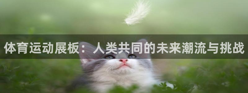 3377体育唯一官方网站：体育运动展