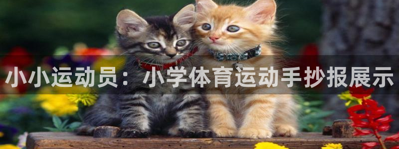 3377体育电子：小小运动员：小学体育运动手抄报展示