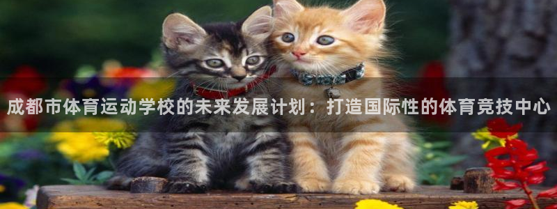 3377体育是诈骗吗：成都市体育运动学校的未来发展计划：打造