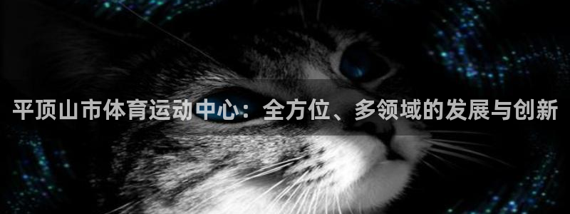  3377体育平台正规吗怎么样：平顶山市体育运动中心：全方位、