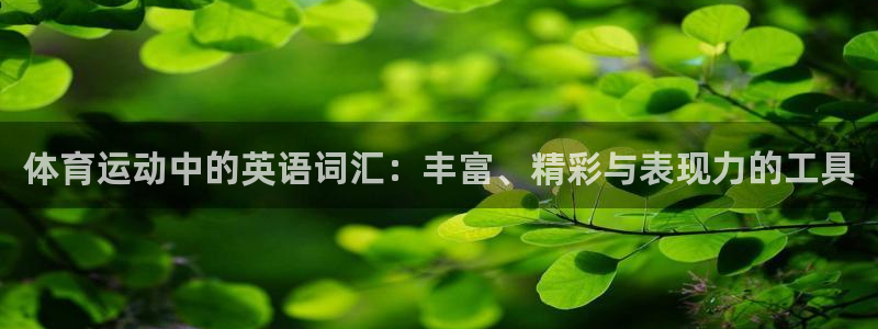  3377体育能爆吗：体育运动中的英语词汇：丰富、精彩与表现力