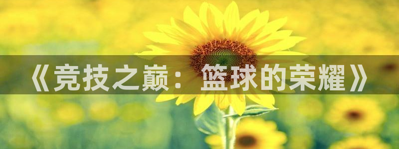 3377体育不出款：《竞技之巅：篮球