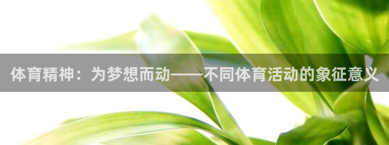 3377体育是正规平台吗还是黑金：体