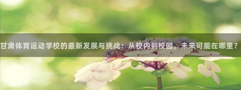 3377体育提款失败的原因分析：甘肃