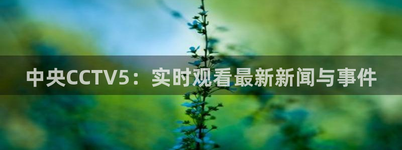 鲸鱼体育.：中央CCTV5：实时观看最新新闻与事件